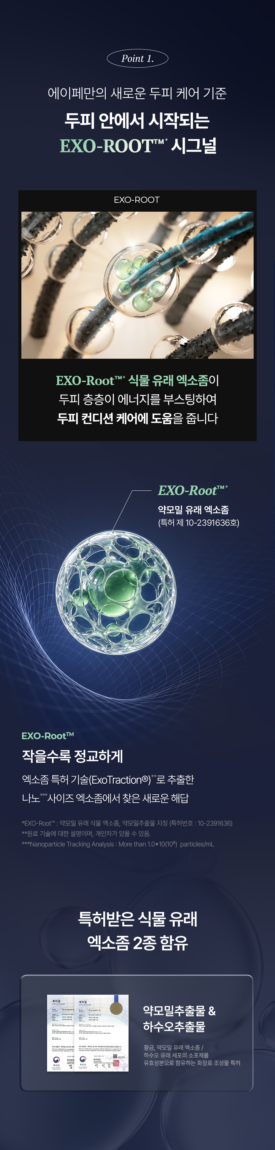 EPAIS Scalp Boosting Ampoule EX - description 15
